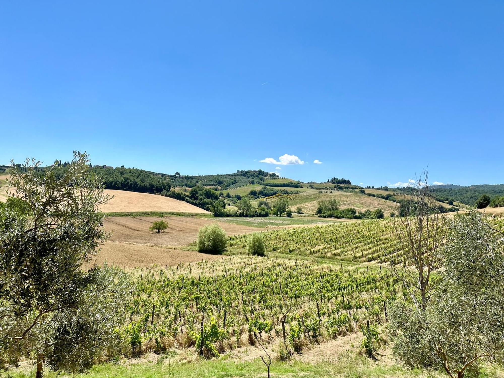 Villa Cetine Vecchie Torrita di Siena Esterno foto