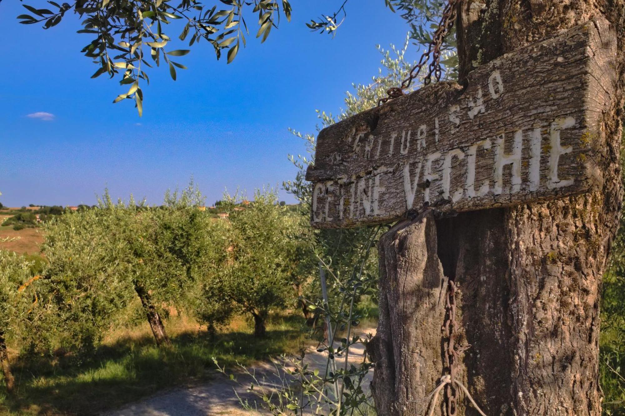 Villa Cetine Vecchie Torrita di Siena Esterno foto
