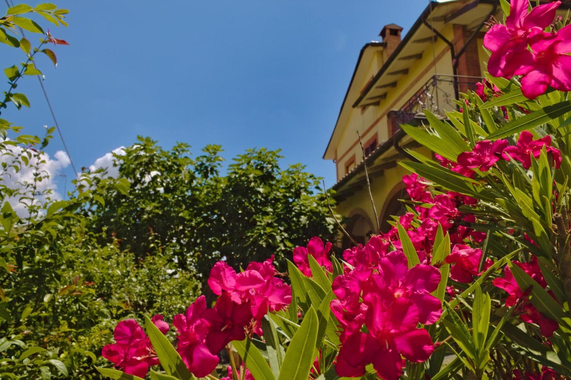 Villa Cetine Vecchie Torrita di Siena Esterno foto